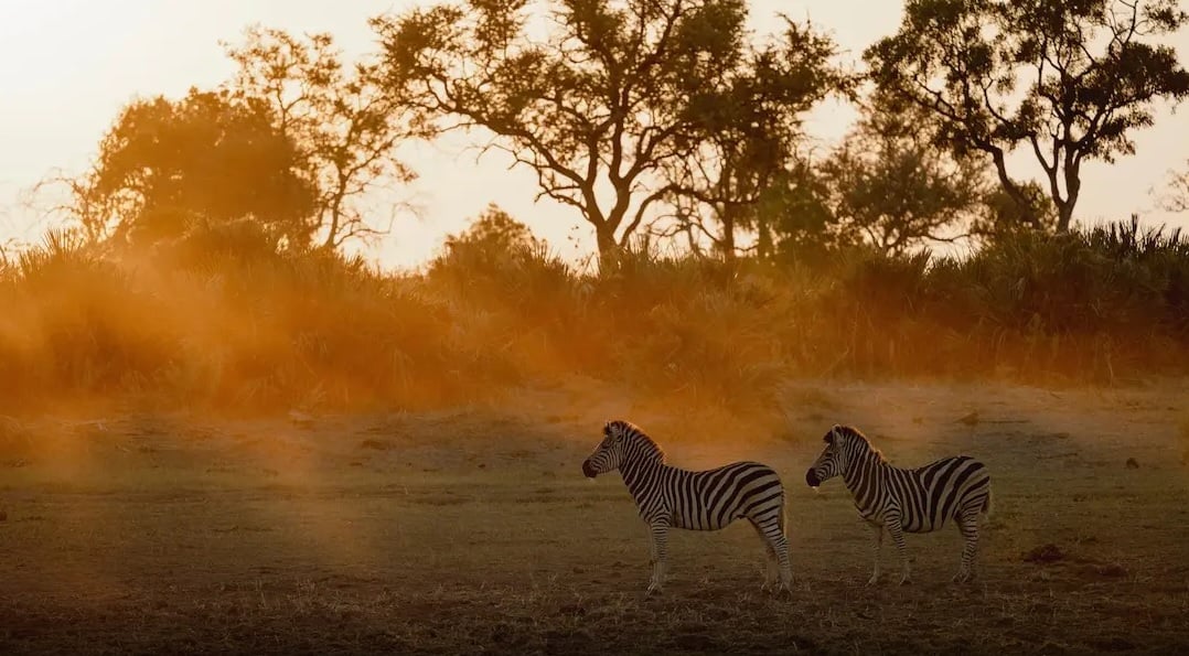 Stay 4 Nights Pay for Only 3 Nights at Sabi Sabi Private Game Reserve
