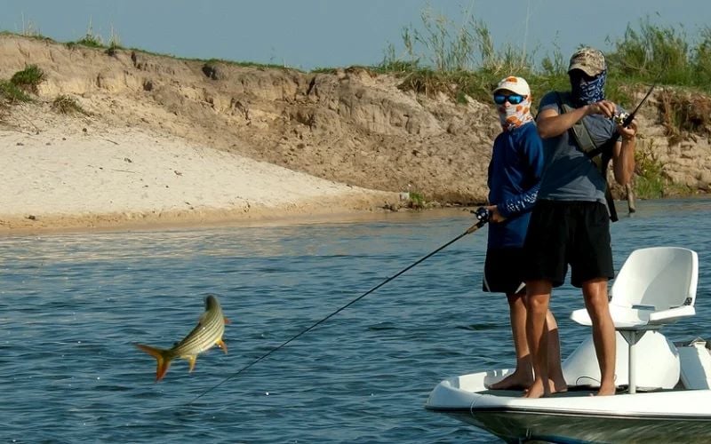 5 Day Tiger Fishing Package at Shackletons Tiger Fishing Lodge, Upper Zambezi