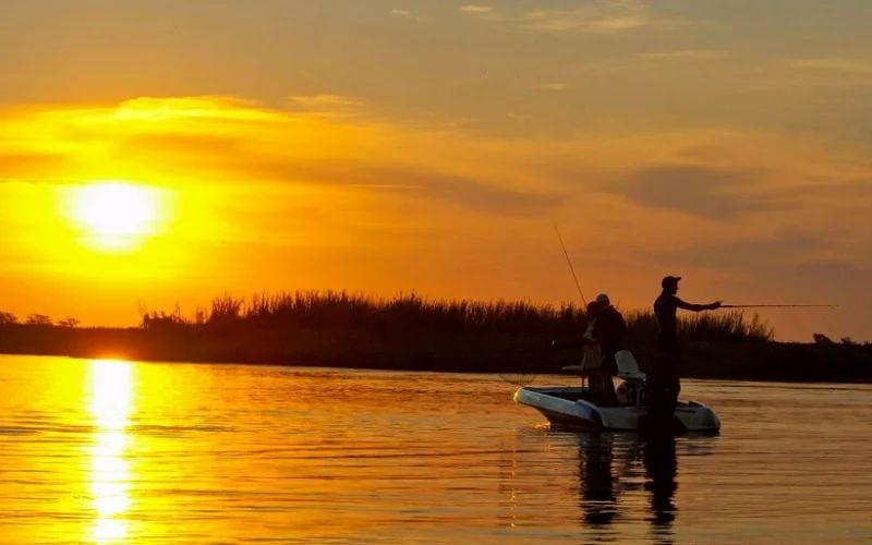 5 Day Tiger Fishing Package at Shackletons Tiger Fishing Lodge, Upper Zambezi
