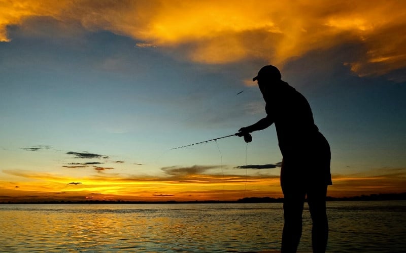5 Day Tiger Fishing Package at Shackletons Tiger Fishing Lodge, Upper Zambezi