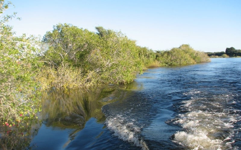 5 Day Tiger Fishing Package at Shackletons Tiger Fishing Lodge, Upper Zambezi