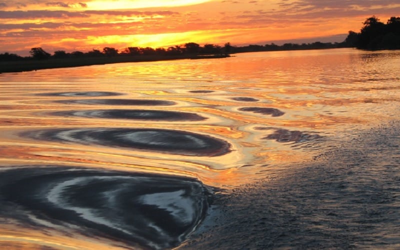 5 Day Tiger Fishing Package at Shackletons Tiger Fishing Lodge, Upper Zambezi