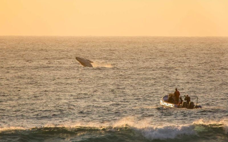 Thonga Beach Lodge 24