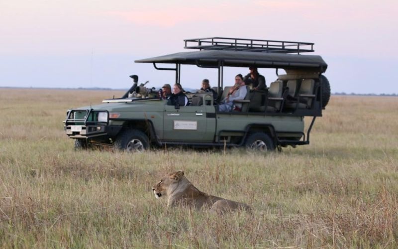 Chase-Africa-Gamedrive