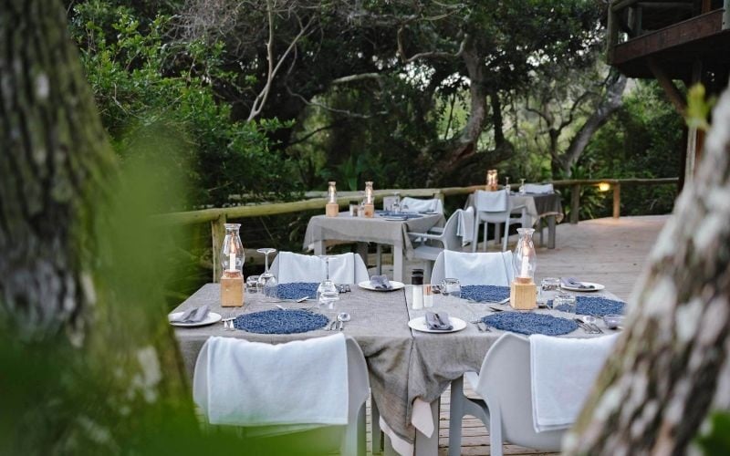 Thonga Beach Lodge 26