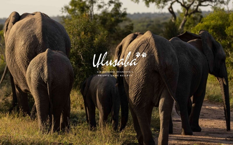 Ulusaba Private Game Reserve