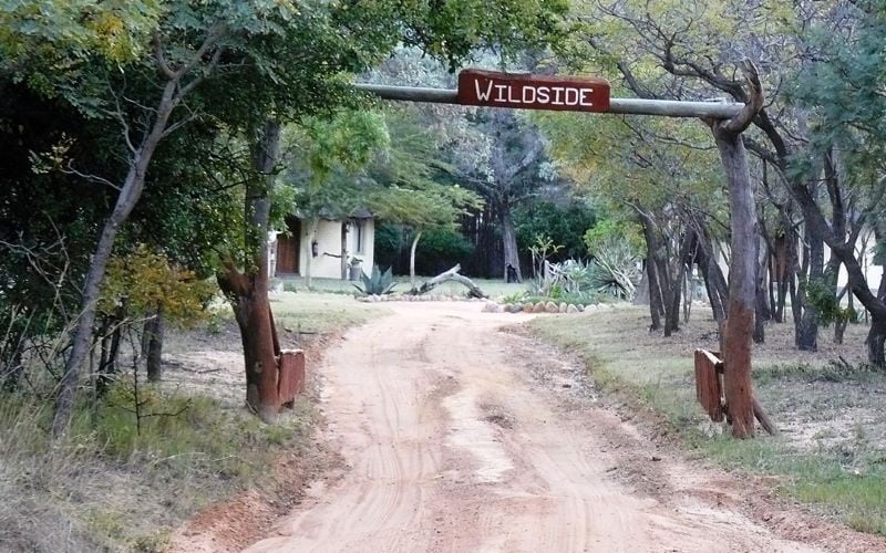 Wildside 23
