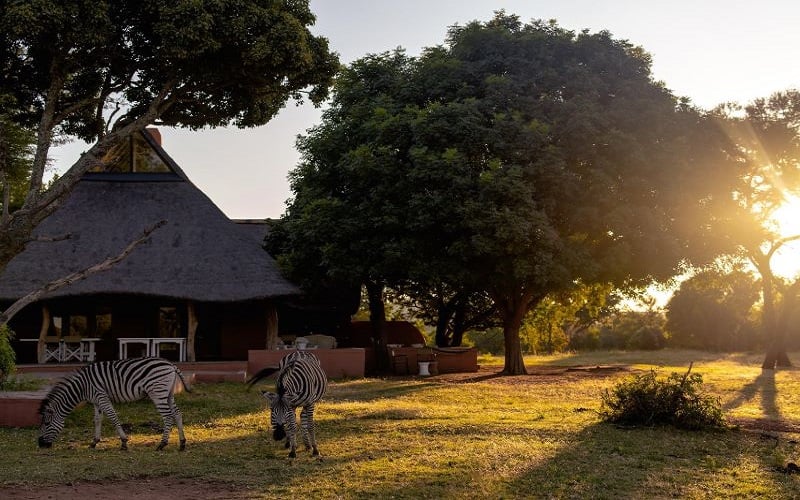 Zebras Crossing Lodge