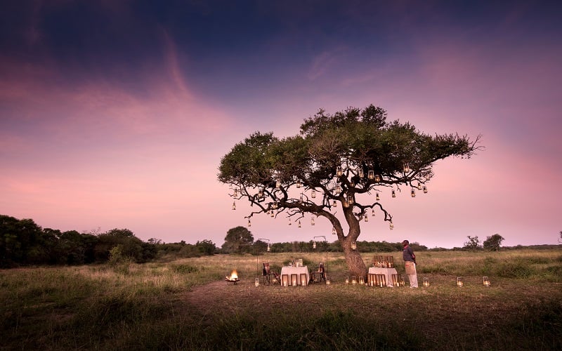 andBeyond Phinda Private Game Reserve