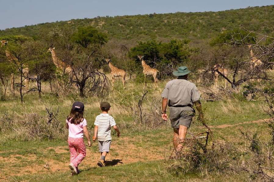 Ants Nest Game Lodge