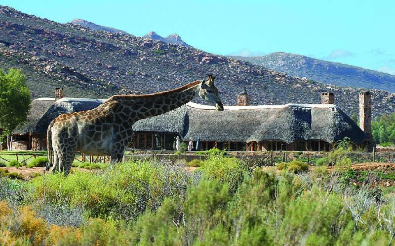 Aquila Private Game Reserve