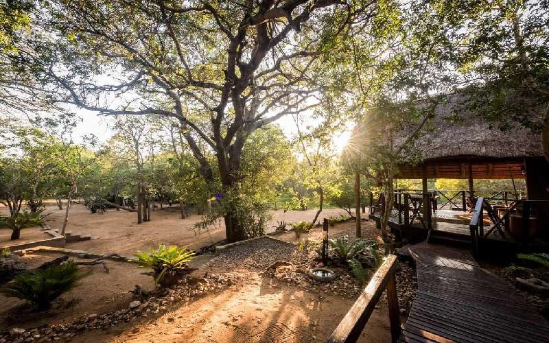 Avoca Private Bush Camp