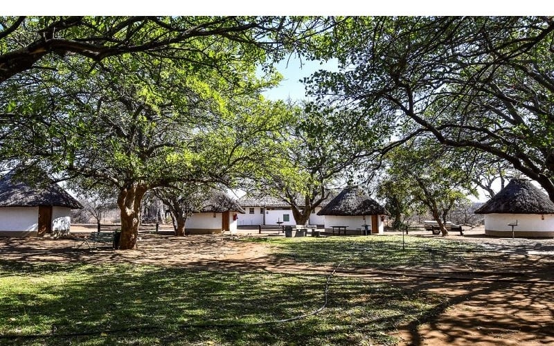 Balule Satellite Camp, Kruger National Park