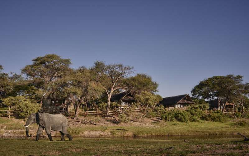 Belmond Savute Elephant Lodge