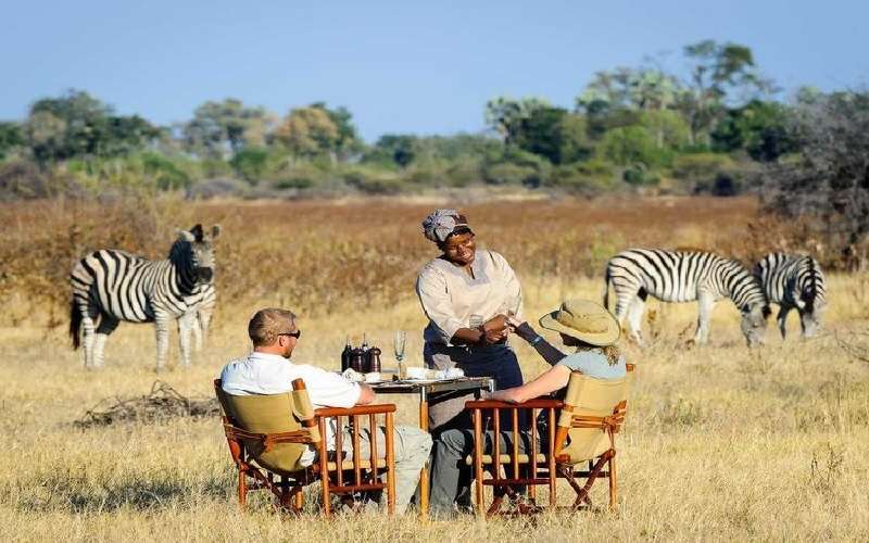 Best Botswana Safari Tour