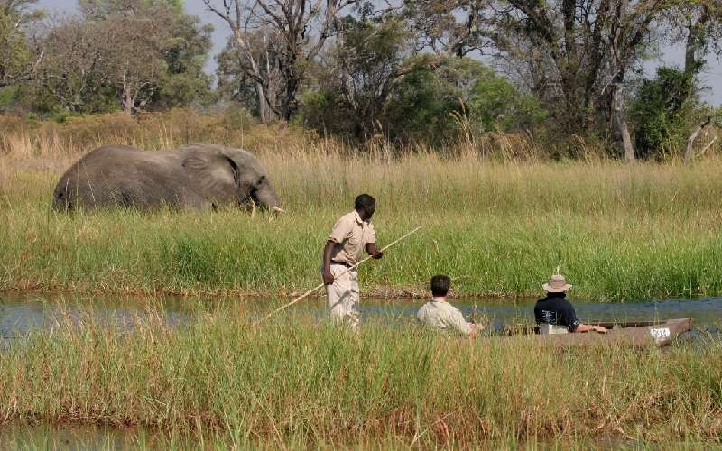 The Highlights of Botswana Tour