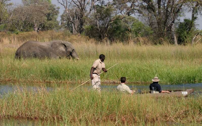 Luxury Botswana Safari