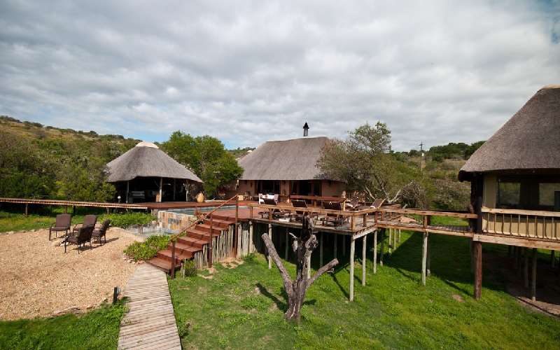 fure kontrollere at tilføje Bukela Game Lodge, Amakhala Game Reserve, South Africa