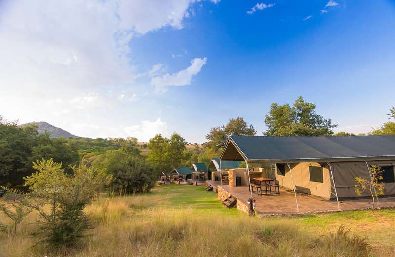 Bush Willow Tented Camp