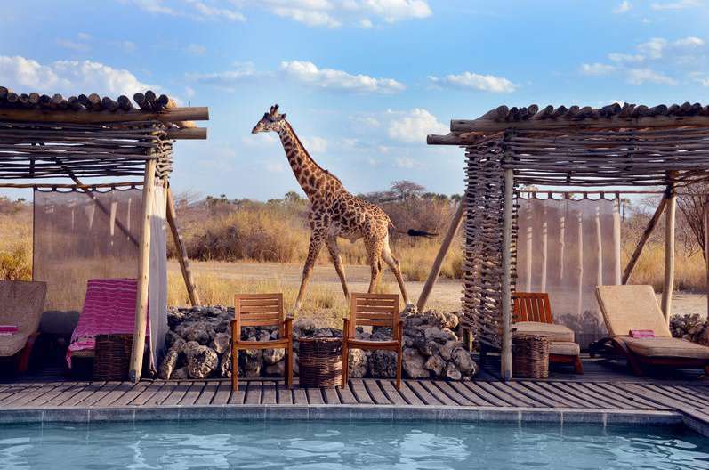 Chem Chem Tanzania 4 Night Breakaway Package