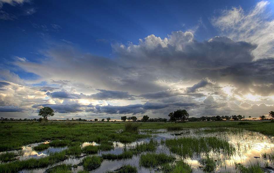 Photographic Safari Chobe and Okavango Delta - 7 Day