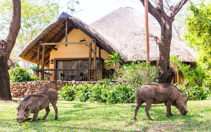 Chobe Marina Lodge