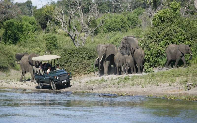 Chobe Safari Day Tour (Botswana)