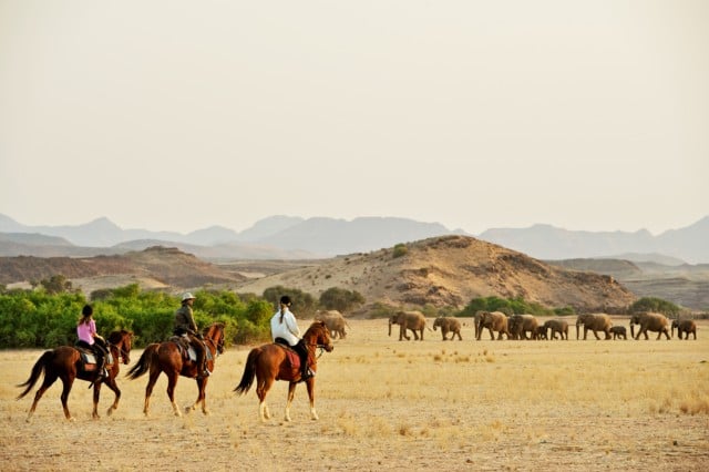 Damara Elephant Horse Safari