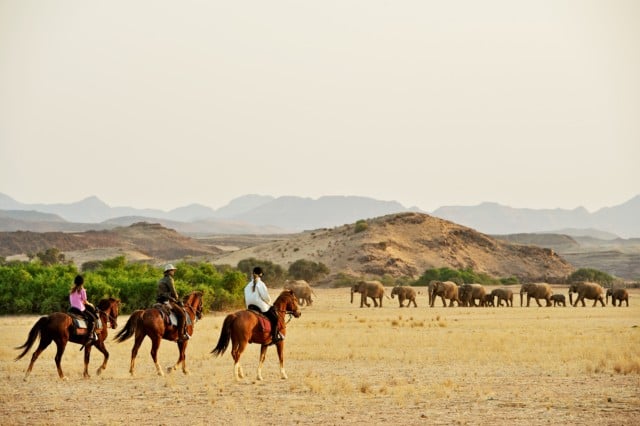 Damara Elephant Horse Safari