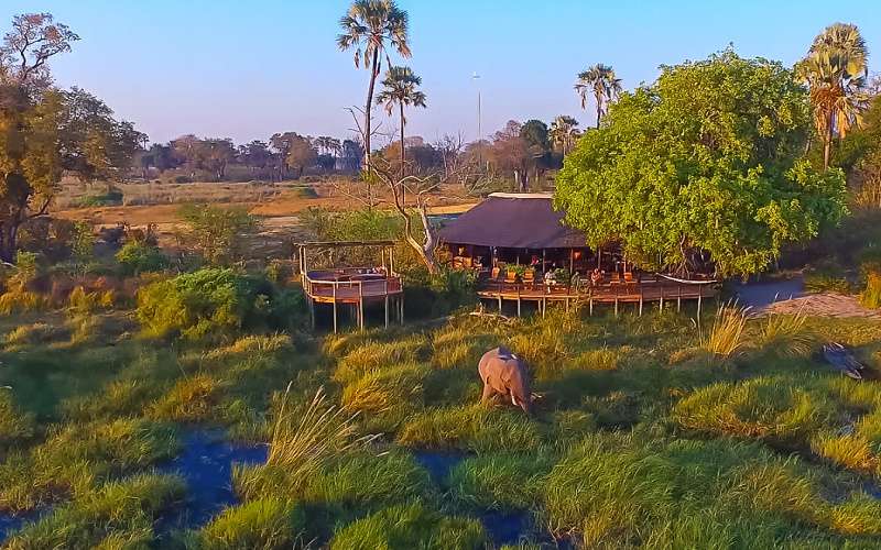 Botswana﻿ 4 Night Safari