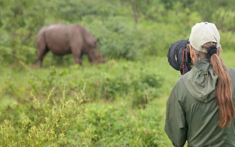 Desert & Delta Rhino Package in Botswana