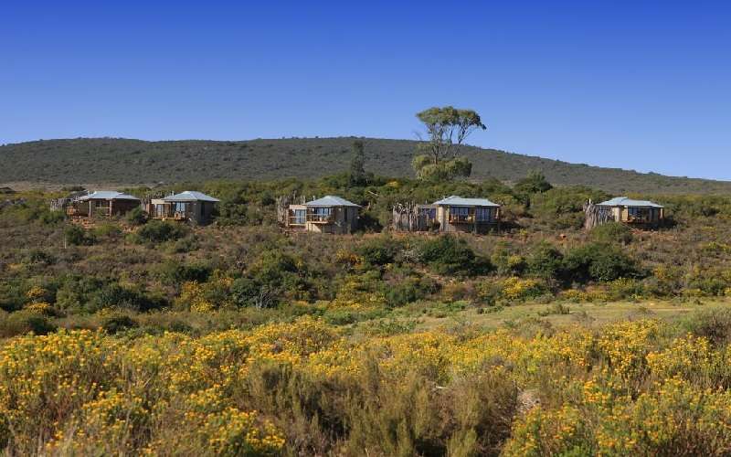 Garden Route Game Lodge