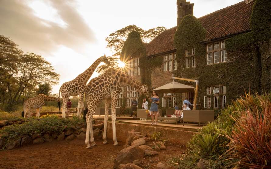 andBeyond Safari Fly me around Kenya Journey ( 8 Days)