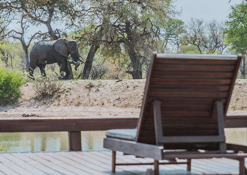 Gomo Gomo Game Lodge