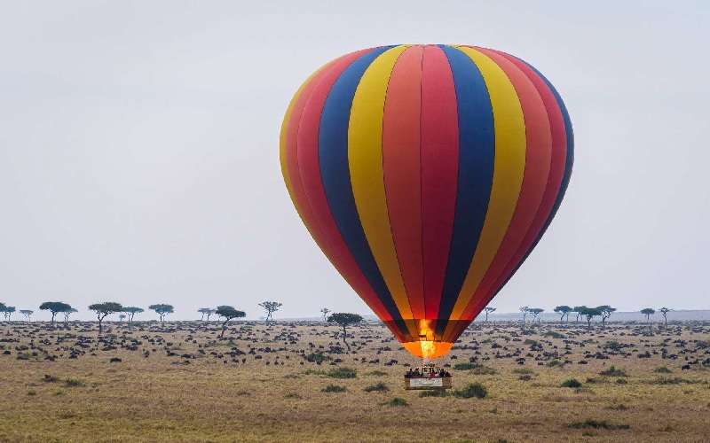 Hot Air Ballooning (Kapama Private Game Reserve)
