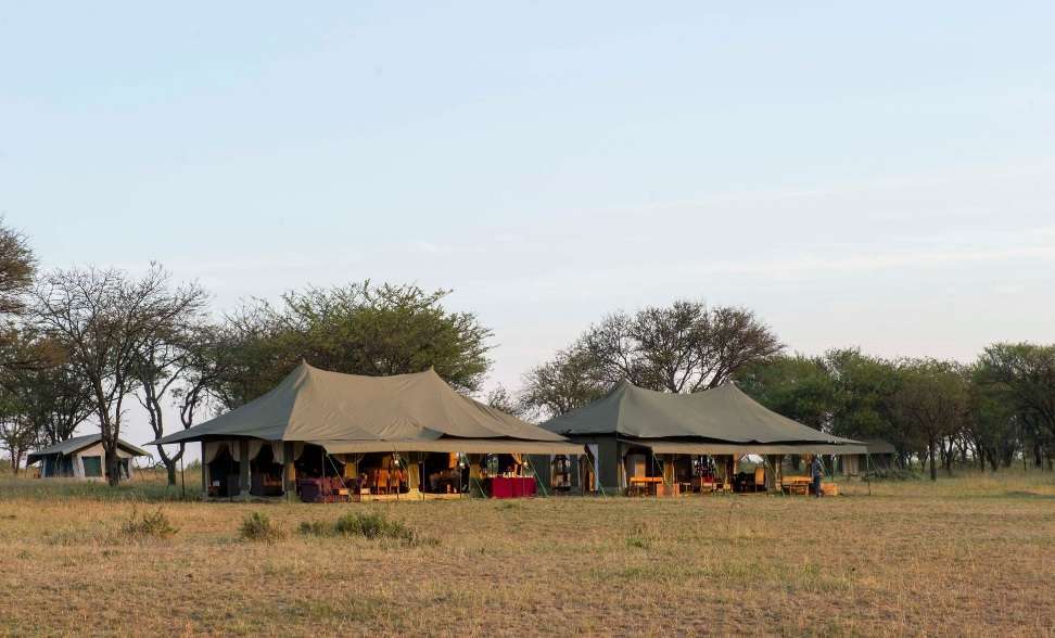 Serengeti Wing Safari 5 Day Tanzania Journey