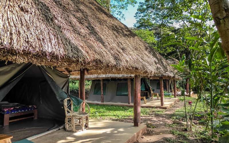 Kibale Forest Camp