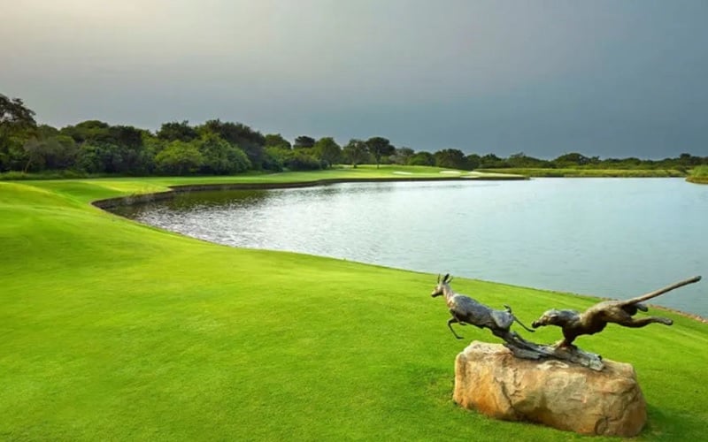 Golf Among Africa’s Wild Wonders