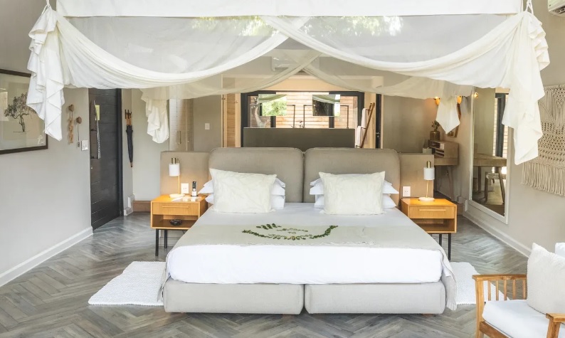 DiscoverMORE Lion Sands Game Reserve
