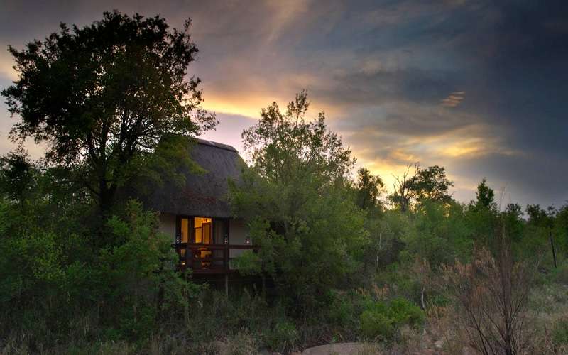 Sabi Sabi Little Bush Camp