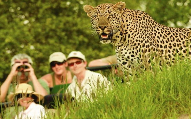 Picturesque Moments at every turn Londolozi Game Reserve