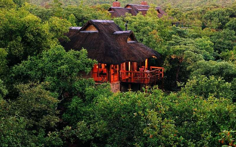 Makweti Safari Lodge, Welgevonden Game Reserve