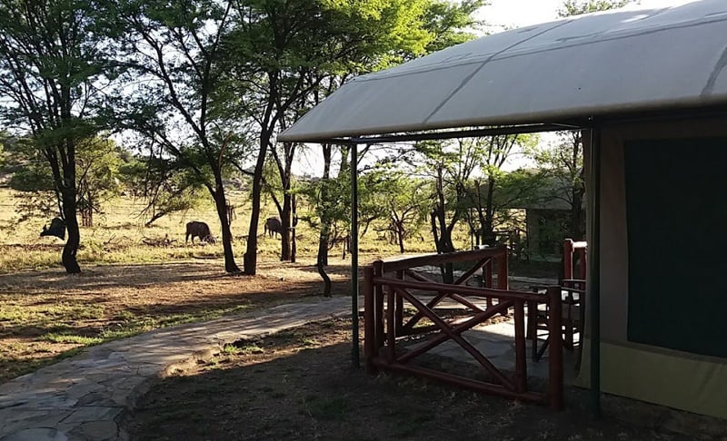 Mawe Tented Camp, Serengeti – Updated 2023 Prices