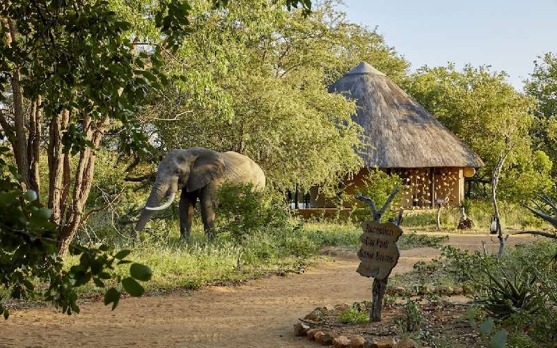 Motswari Private Game Reserve