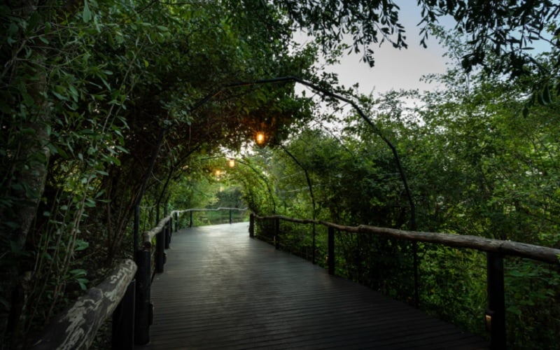 Mukwa River Lodge Livingstone