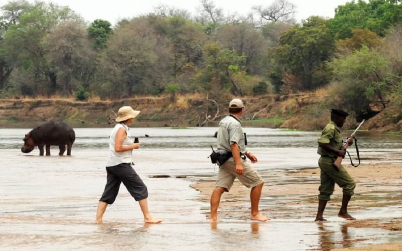 Mwaleshi Walking Camp, North Luangwa Zambia