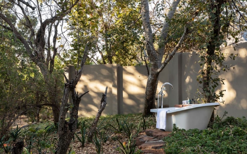 Ndlovu Safari Lodge