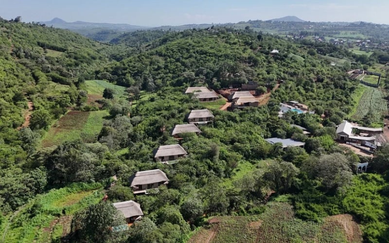Oasis Residence