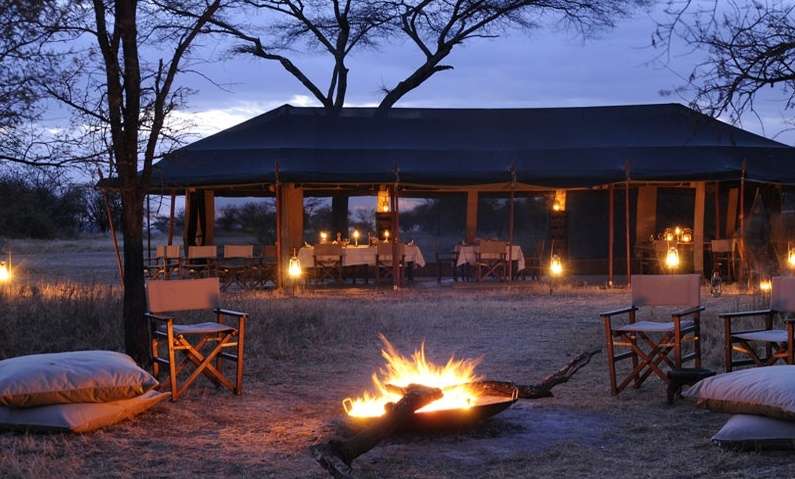 Kenya & Tanzania Migration Extravaganza