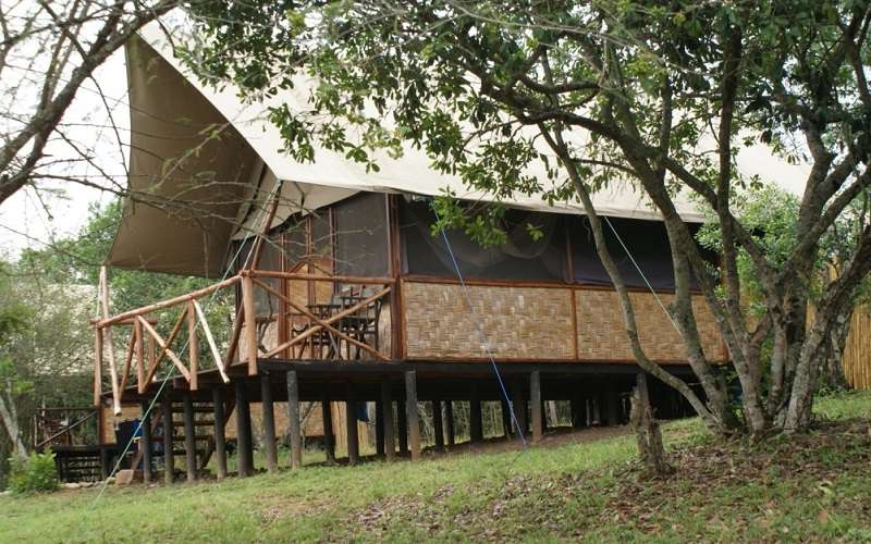 Queen Elizabeth Bush Lodge, Uganda